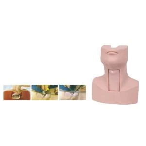 Trakeostomy Tube Manikin